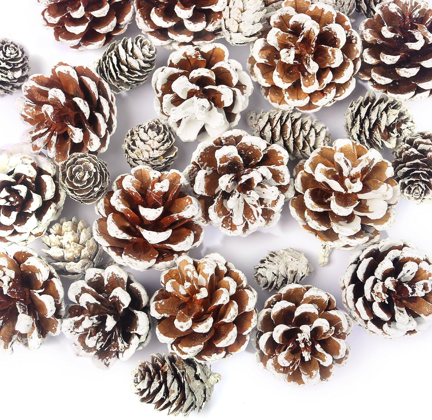 JOHOUSE 30 piezas de decoración de piñas de nieve, conos de pino naturales para manualidades, adornos de cono de pino de Navidad para árbol de