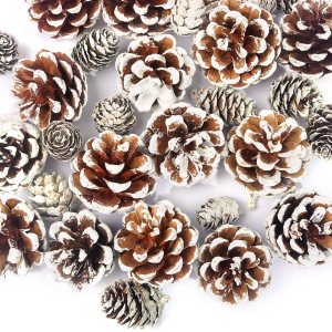 JOHOUSE 30 piezas de decoración de piñas de nieve, conos de pino naturales para manualidades, adornos de cono de pino de Navidad para árbol de JOHOUSE 30 piezas de decoración de piñas de nieve, conos de pino naturales para manualidades, adornos de cono de pino de Navidad para árbol de