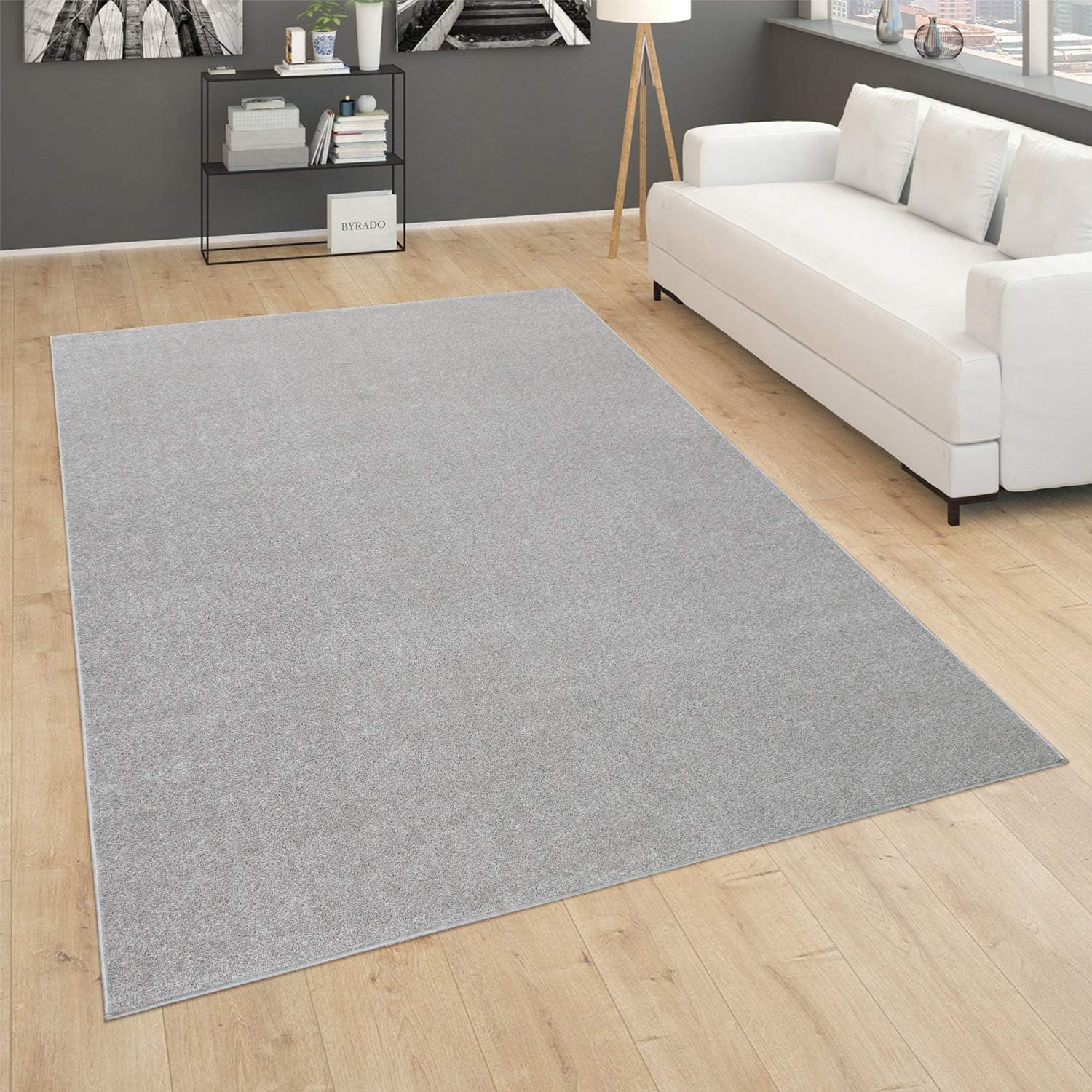 Paco Home Alfombra de área sólida en plata diseño liso moderno, tamaño 2’8″ x 4’11”