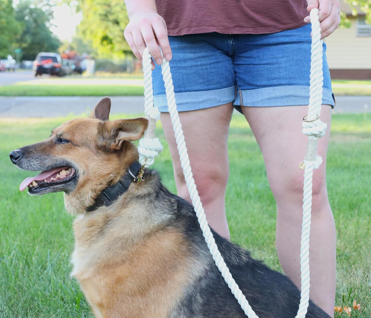 Correa de cuerda para perro de alta calidad, correa de cuerda de algodón trenzada suave y duradera para perros medianosperros grandes, correa ligera
