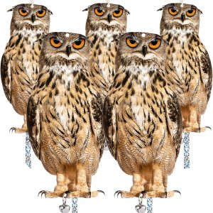 Búho para mantener alejados a los pájaros, paquete de 5 búhos falsos, búho falso reflectante, decoración de pájaro colgante reflectante, búho Búho para mantener alejados a los pájaros, paquete de 5 búhos falsos, búho falso reflectante, decoración de pájaro colgante reflectante, búho