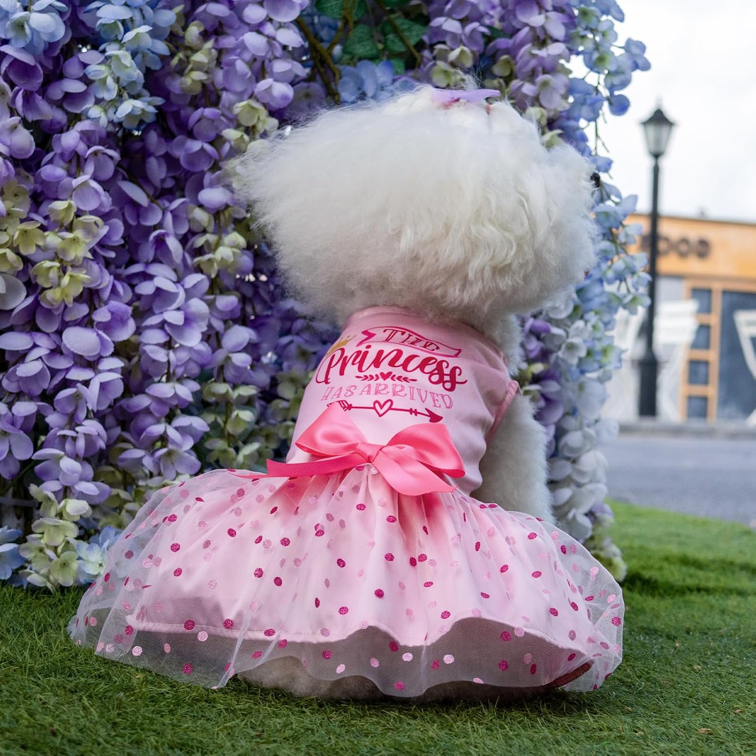 CuteBone Vestido de cumpleaños para niña, ropa de princesa, disfraz de gato, ropa para perros pequeños, traje de mascota DD20S