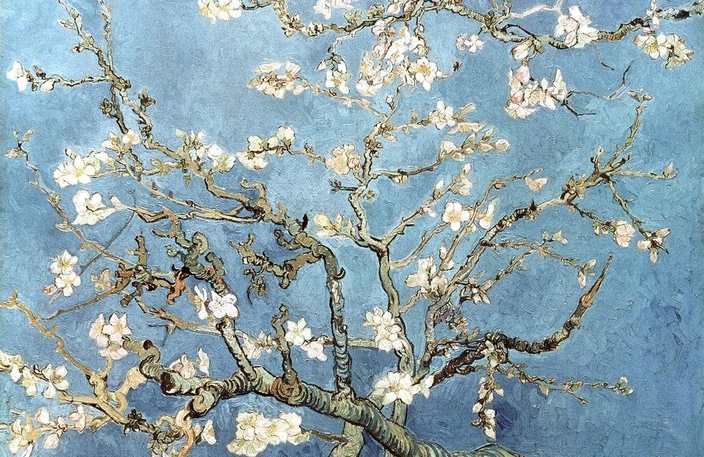 Vincent Van Gogh – Póster de ramas de flor de almendra post impresionista pintor artista pintura genial decoración de pared póster de 16 x 24