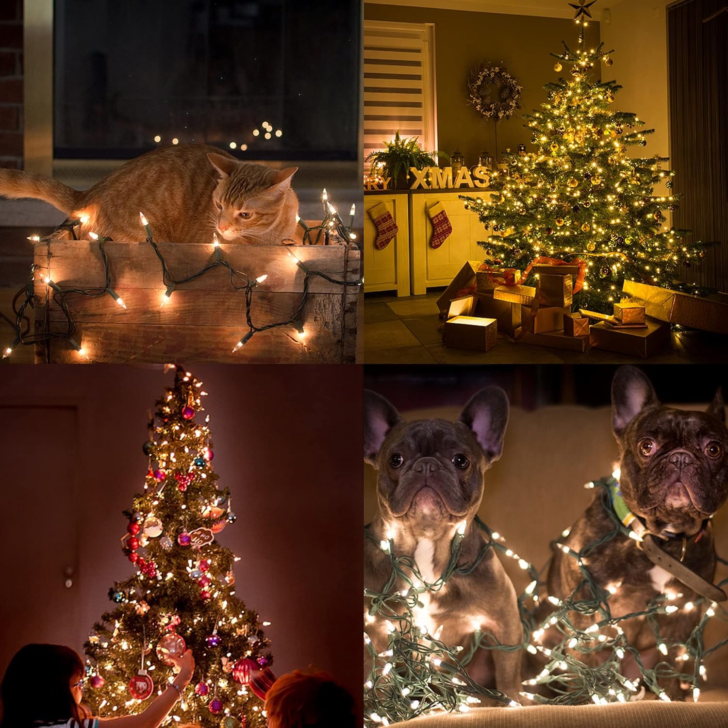 Luces de Navidad, 150 unidades, 33 pies, luces de hadas de alambre verde, luces de árbol de Navidad conectables con certificación UL de 120 V para