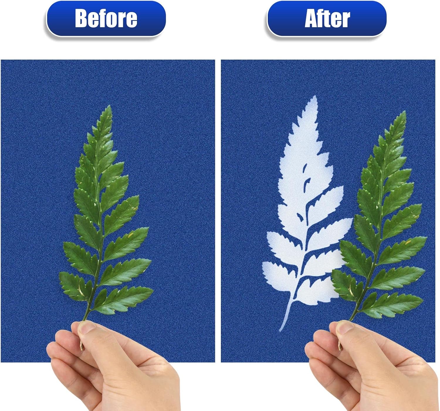 Papel de cianottipo, 30 piezas de papel de impresión solar, papel de impresión de naturaleza de alta sensibilidad, papel de dibujo solar para
