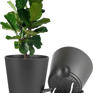 FaithLand Paquete de 2 macetas de 9 pulgadas para plantas de interior y exterior, macetas de riego automático con depósito profundo, color negro FaithLand Paquete de 2 macetas de 9 pulgadas para plantas de interior y exterior, macetas de riego automático con depósito profundo, color negro