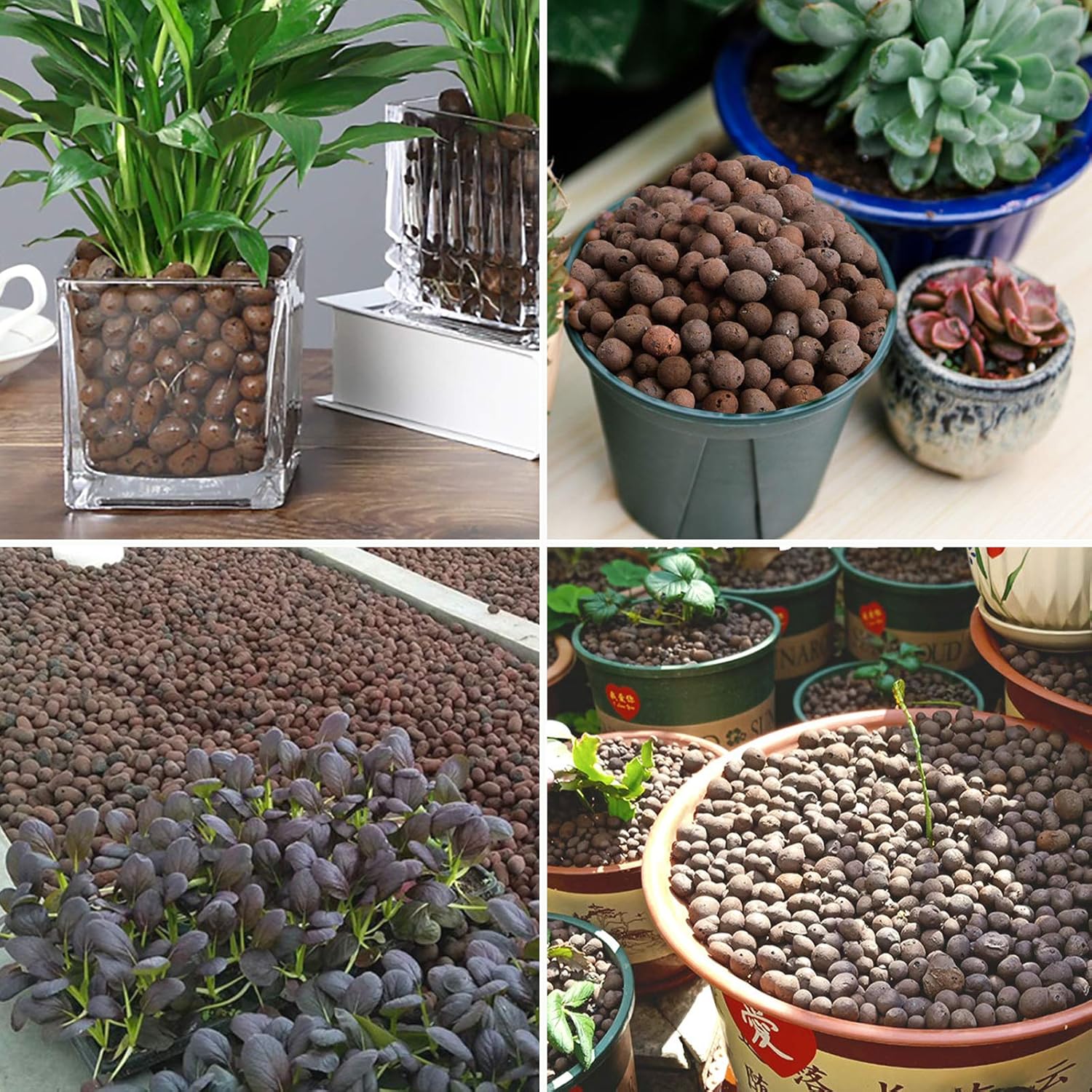 Malifea Suministros hidropónicos de arcilla expandida Leca de 10 libras para plantas de jardín de interior