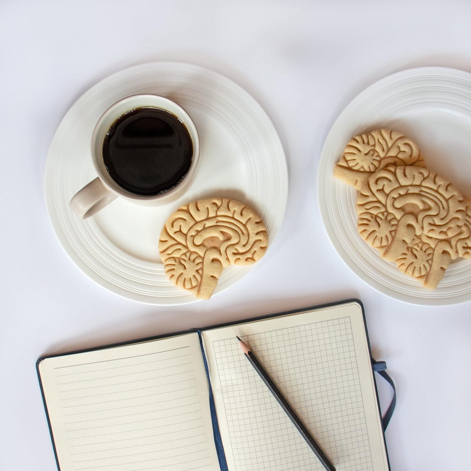 Cortador de galletas anatómico Brain, 1 pieza – Bakerlogy