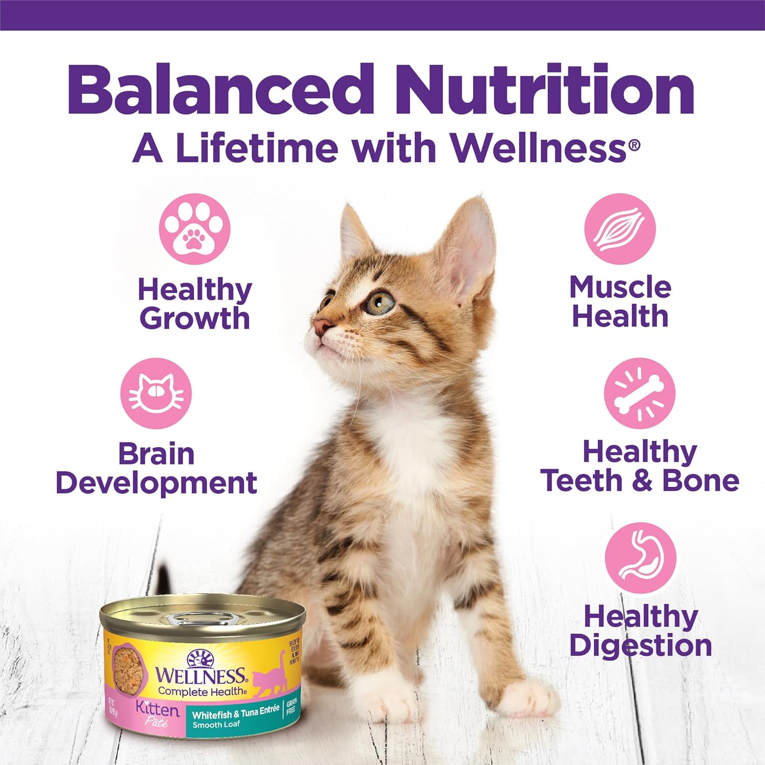 Wellness Complete Health Alimento enlatado húmedo para gatos, sin granos, ingredientes naturales, hecho con carne real, para todas las razas, paté