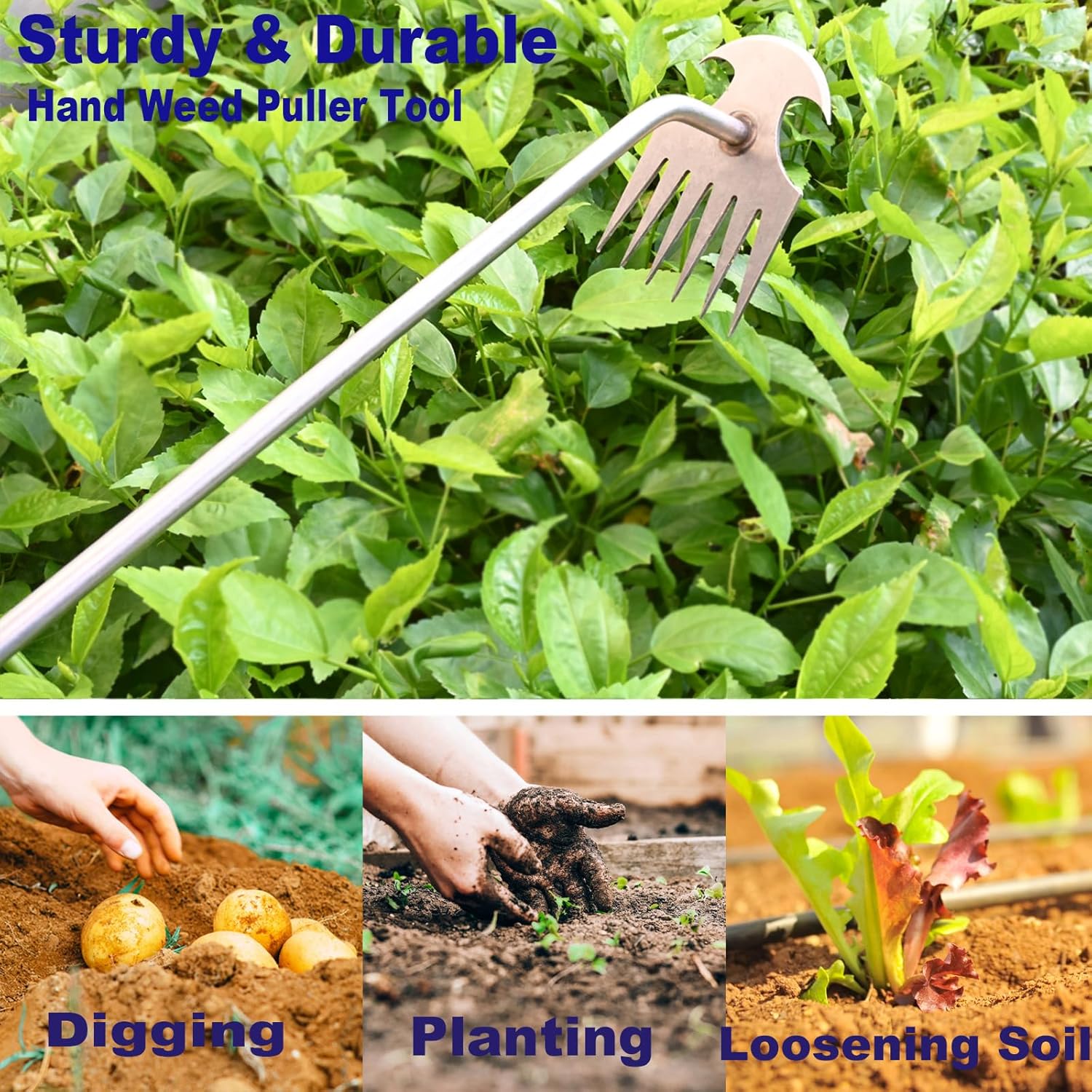 Herramienta de deshierbe de jardín de 20 pulgadas, herramienta de extracción de malezas de acero inoxidable para jardinería, herramienta de