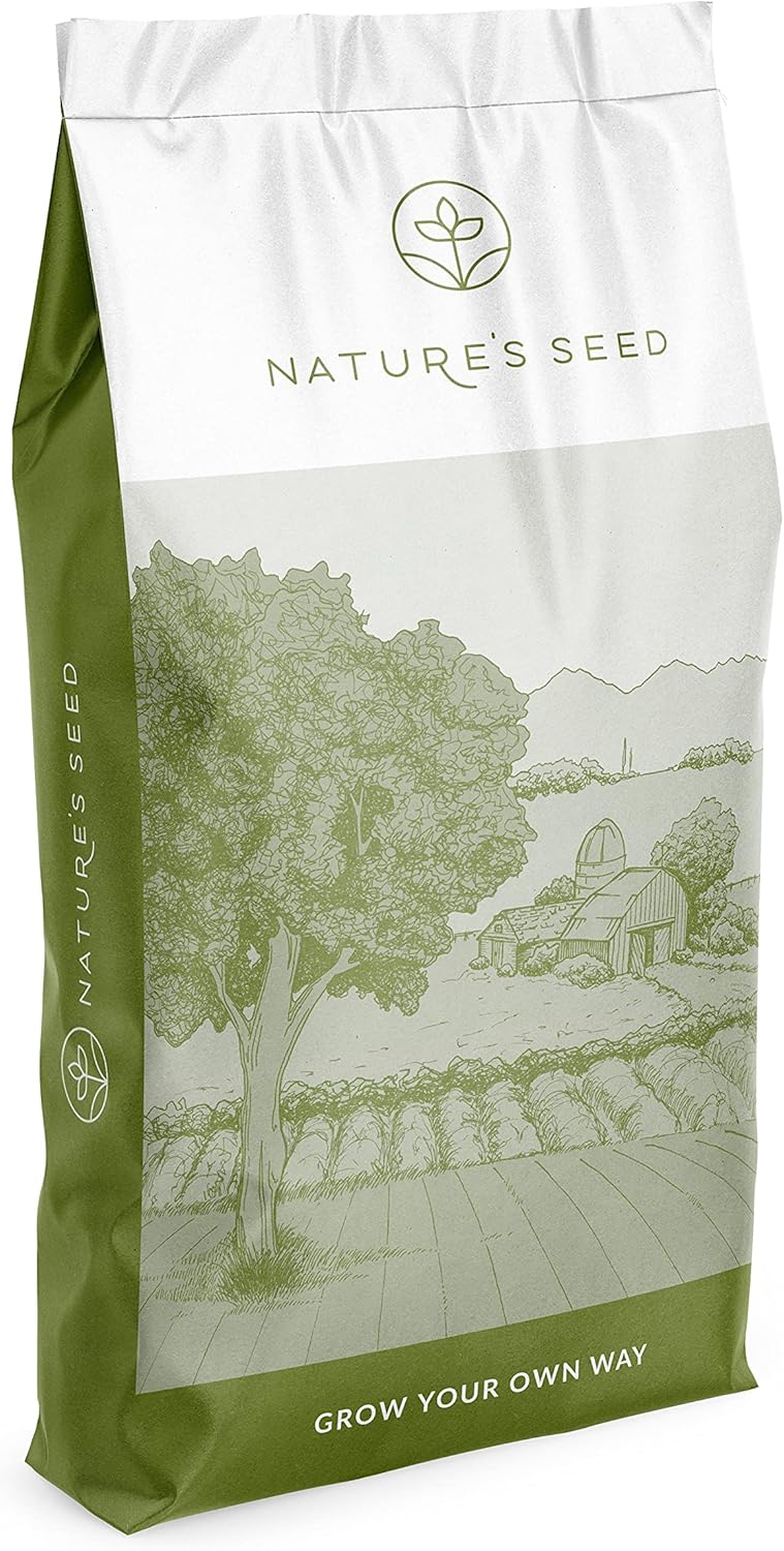 Triticale (1)