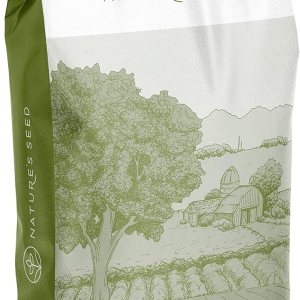 Triticale (1) Triticale (1)