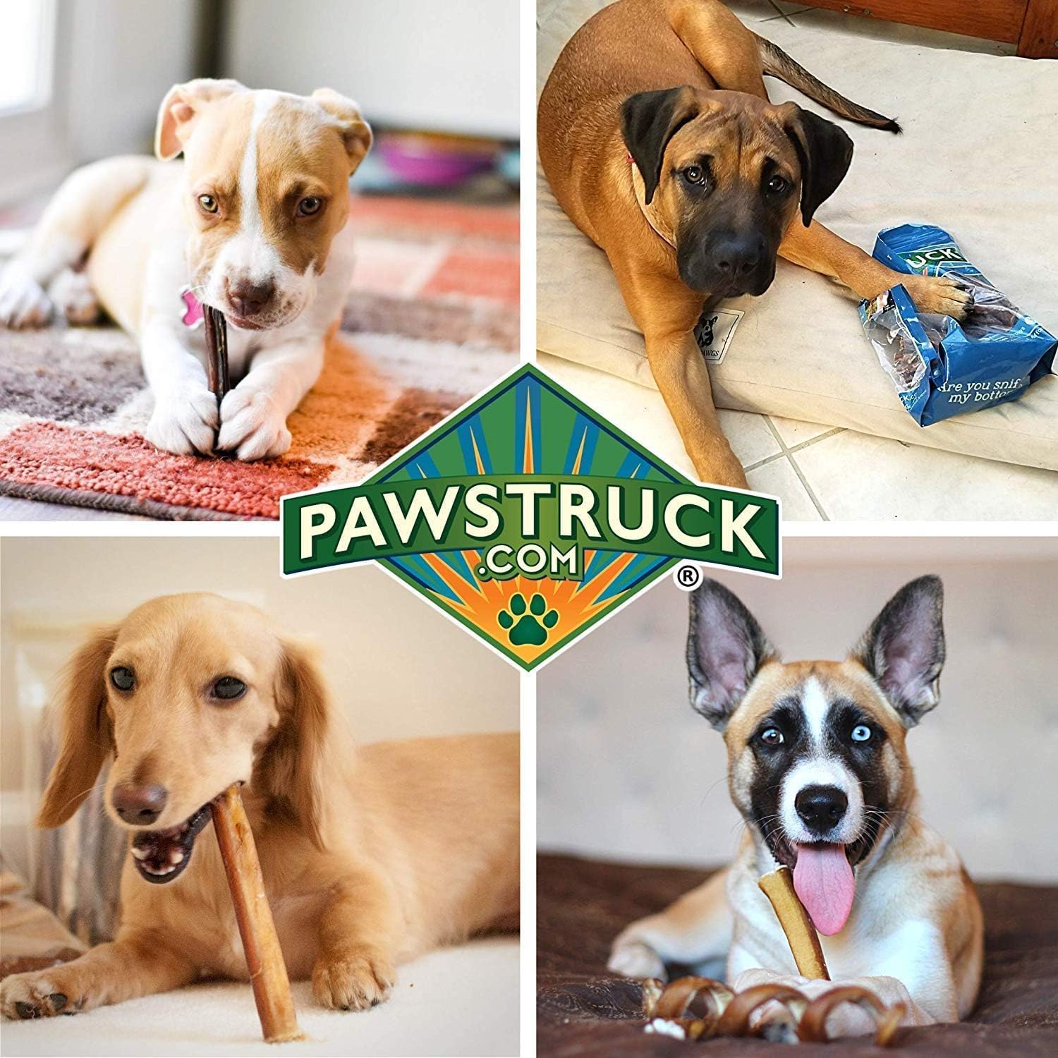 Pawstruck All-Natural 7″ Bully Sticks for Dogs – Best Long Lasting, Rawhide Free, Low Odor & Grain Free Dental Chew Treat – Healthy Single