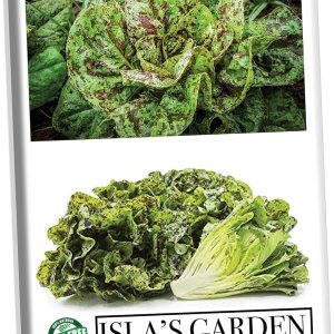 Pecas semillas de lechuga romana, más de 1000 semillas tradicionales por paquete, semillas de jardín de Isla (semillas de jardín de Isla), semillas Pecas semillas de lechuga romana, más de 1000 semillas tradicionales por paquete, semillas de jardín de Isla (semillas de jardín de Isla), semillas