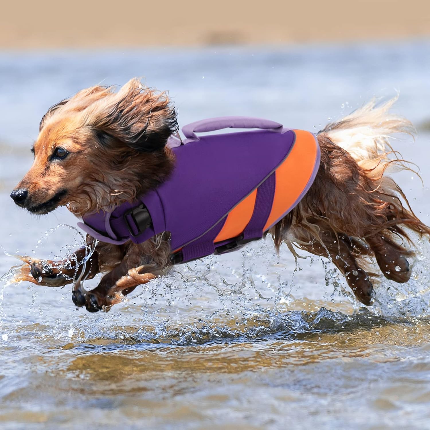 Queenmore Chaleco salvavidas para perros, para nadar, navegar, chaleco salvavidas para perros grandes y medianos, chaleco salvavidas para mascotas