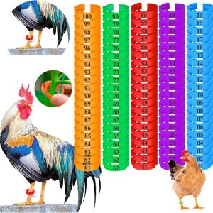 100 bandas de pierna de pollo, coloridas bandas numeradas para patas de aves de corral, etiquetas de pollo para piernas, bandas de identificación de 100 bandas de pierna de pollo, coloridas bandas numeradas para patas de aves de corral, etiquetas de pollo para piernas, bandas de identificación de