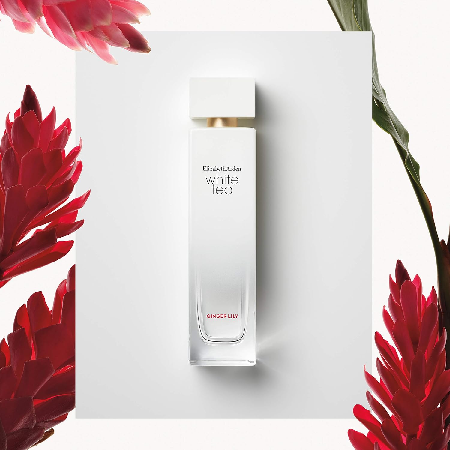 Elizabeth Arden