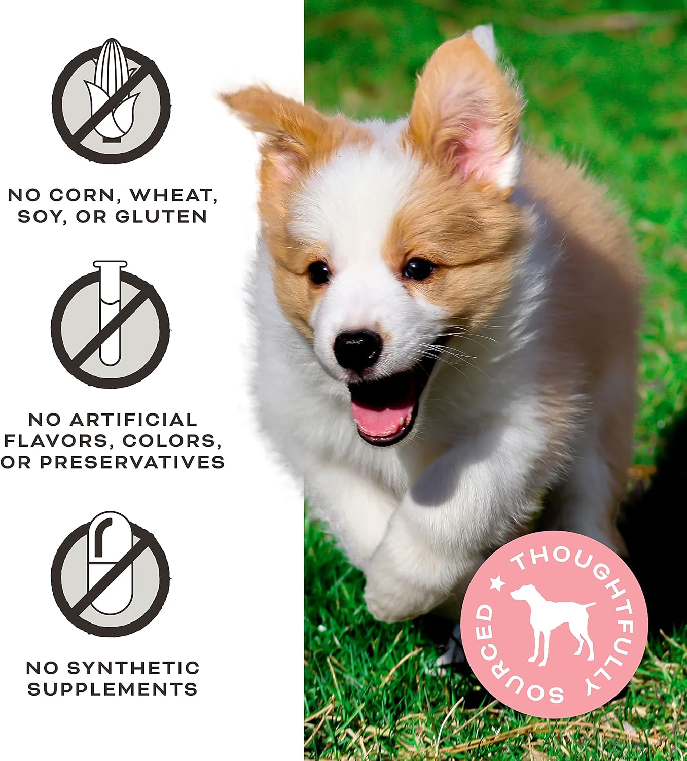 Primal Chicken Jerky – Golosinas para perros hechas con caldo de hueso de pollo, golosinas masticables FriendChips Matter para perros, 4 onzas