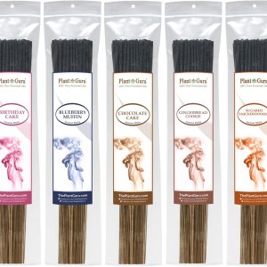 Juego variado de palitos de incienso para panadería, paquete de 500 palitos de muestra de 11 pulgadas, 5 paquetes de 100 palitos por paquete. Pastel Juego variado de palitos de incienso para panadería, paquete de 500 palitos de muestra de 11 pulgadas, 5 paquetes de 100 palitos por paquete. Pastel