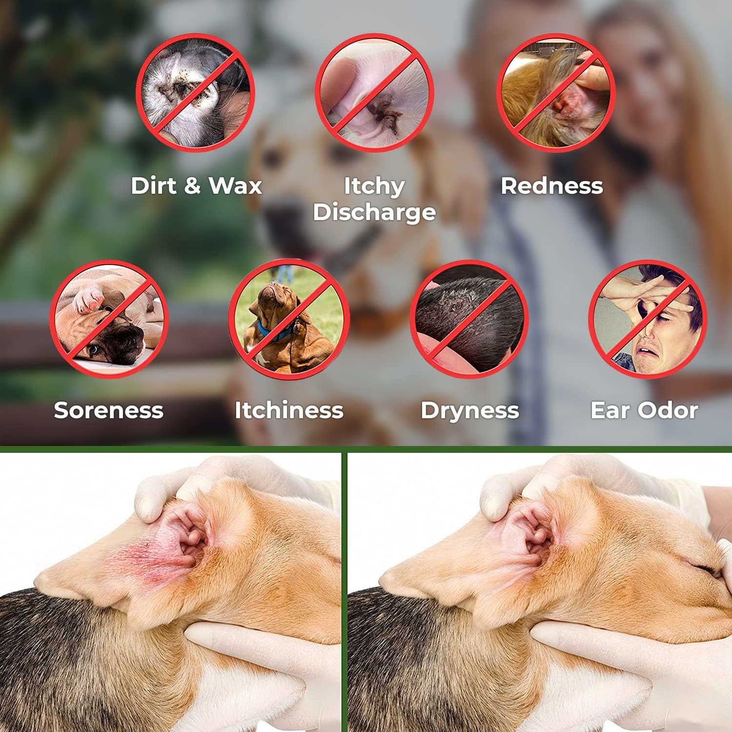 Arava – Toallitas limpiadoras de oídos para perros, gatos, cachorros, gatitos, 100 unidades, desodorante de limpieza medicinal natural, elimina la