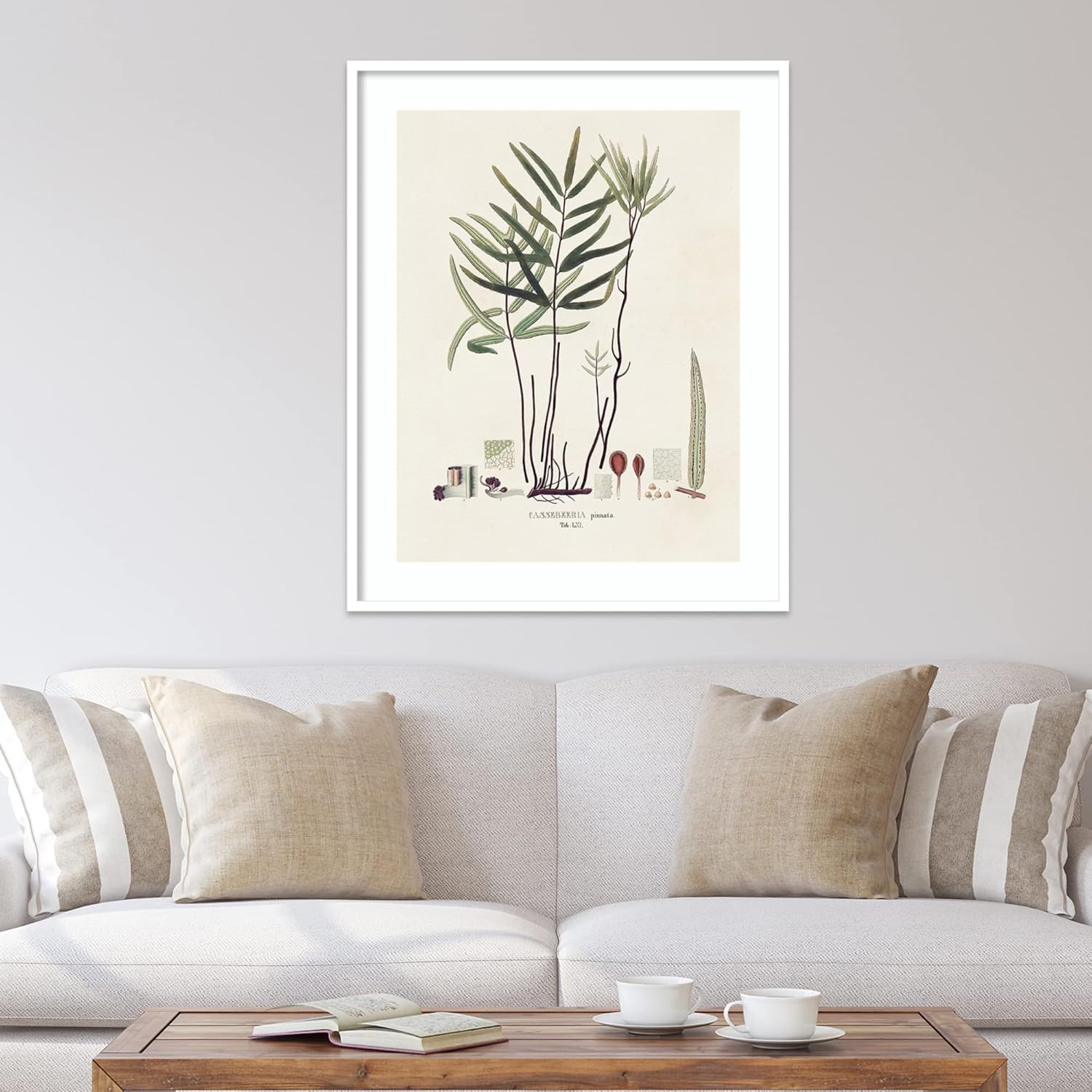 Amanti Art Framed Wall Art Print (33×41) Botanical Society Ferns XI by Vision Studio Framed Poster for Wall Decor, Living Room, Bedroom, Bathroom,