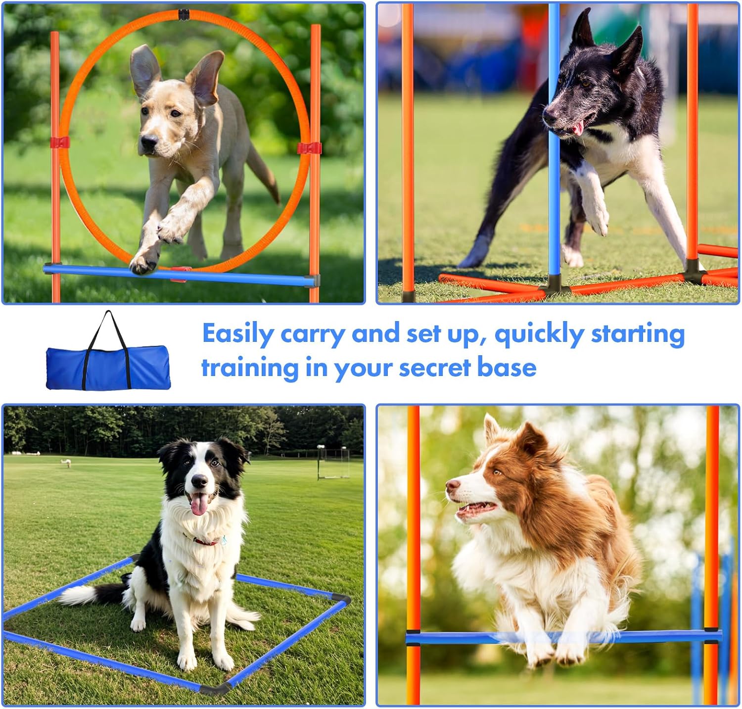 Juego de curso de agilidad para perros en el patio trasero, equipo de entrenamiento de agilidad para perros en interiores y exteriores, kit de