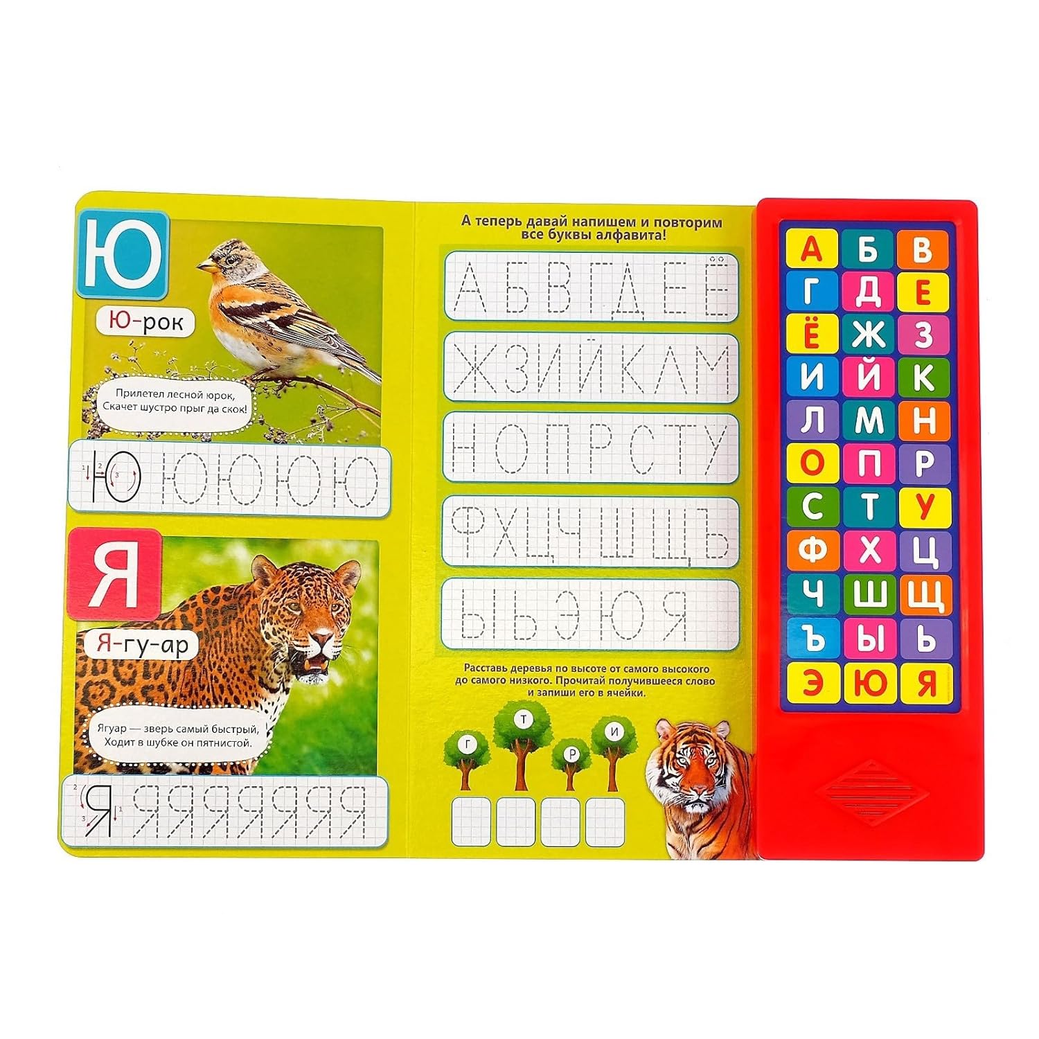 Alfabeto ruso con módulo de sonido – Libros interactivos que aprenden el idioma ruso – Azbuka educativo de Rusia –