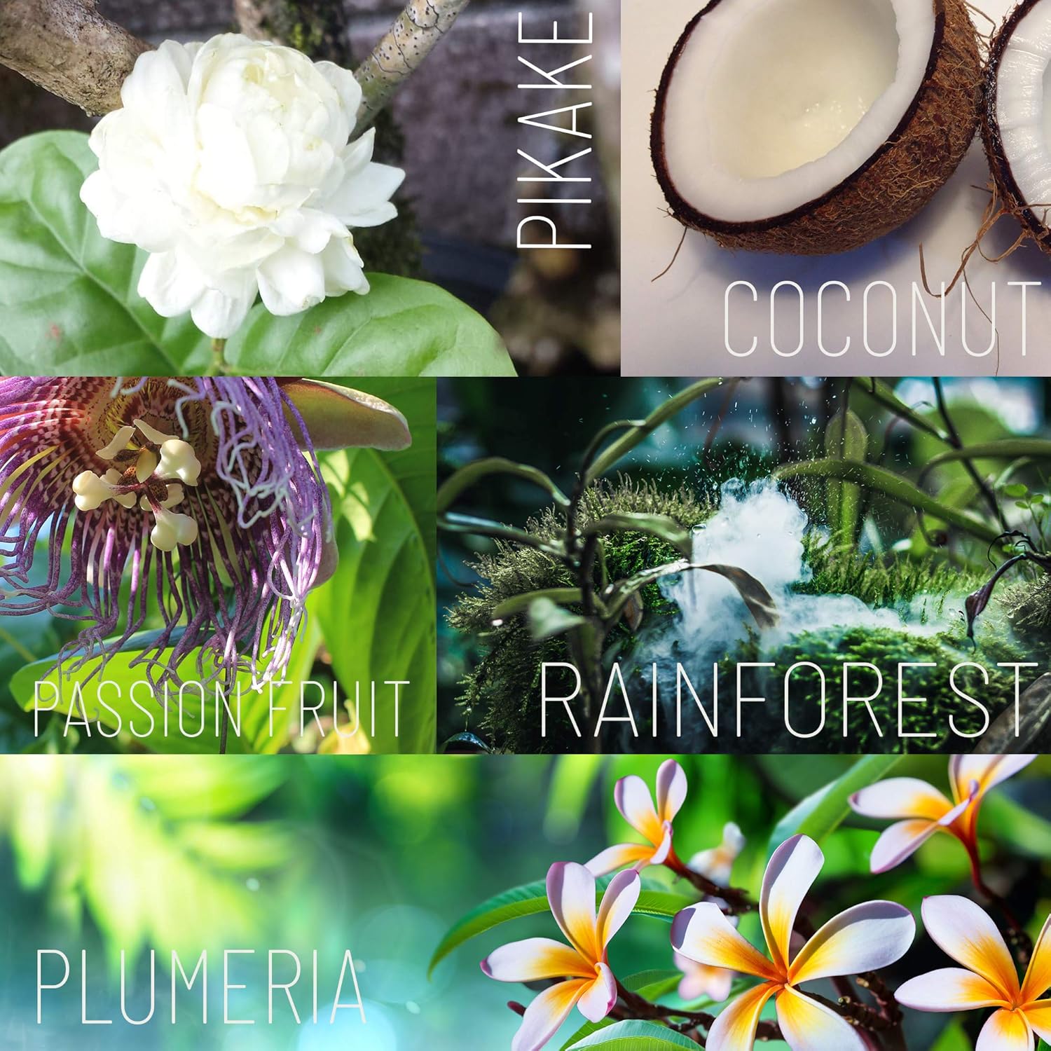 Ola Tropical Apothecary Rainforest – Esmalte de azúcar con aceites tropicales puros y extractos de plantas, 8 onzas líquidas