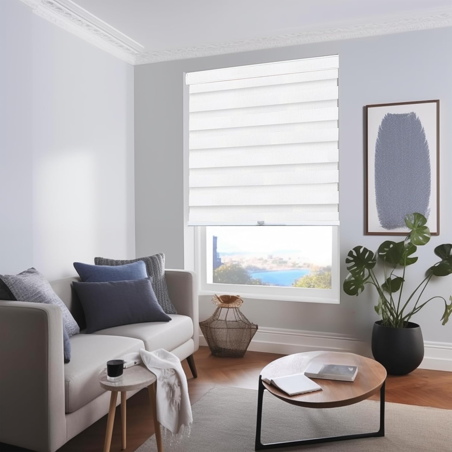 CHICOLOGY – Sombras de cebra sin varillas para uso diario, tratamiento de doble capa para ventana de filtrado de luz, ideal para niños y perfecto
