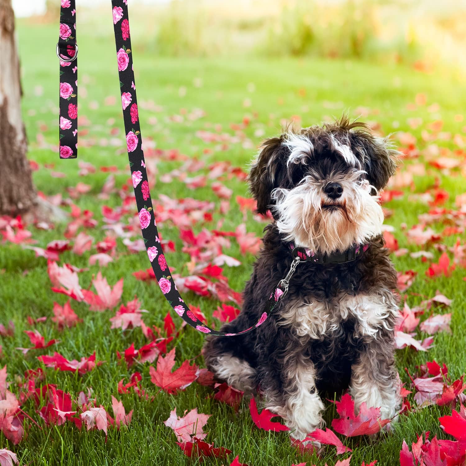 Correa de perro negra con diseño floral para cachorros, perros de raza pequeña, correa de perro de 4 pies