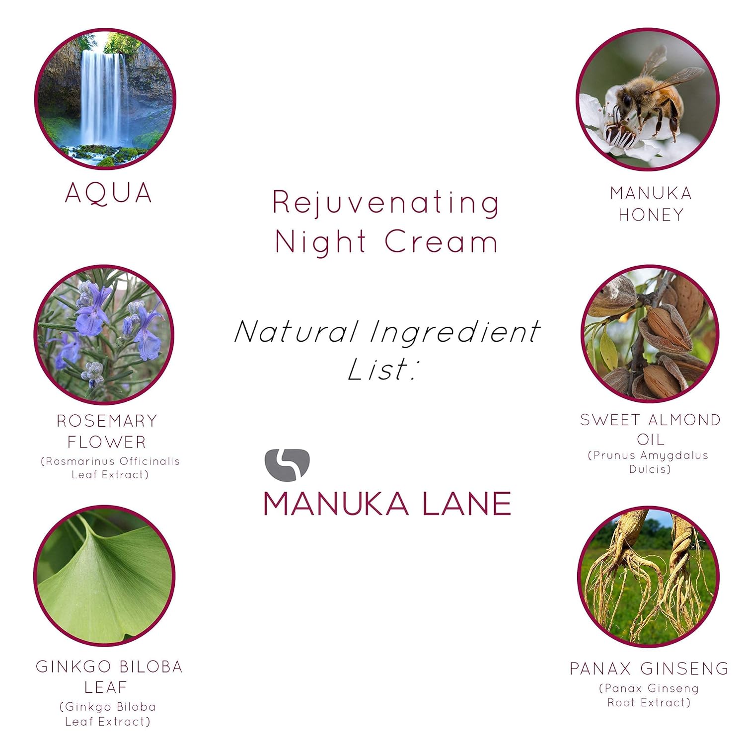 Manuka Lane Crema de noche con retinol, miel de manuka y péptidos Resultados reales brillantes para una piel joven y saludable