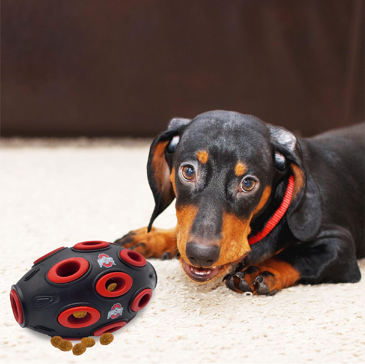 Pets First NCAA Ohio State Buckeyes Football Treat Dispensing Toy for Dogs and Cats, Rubber Ball Dog Toy, Interactive Fun Dog Treat Toy, Natural