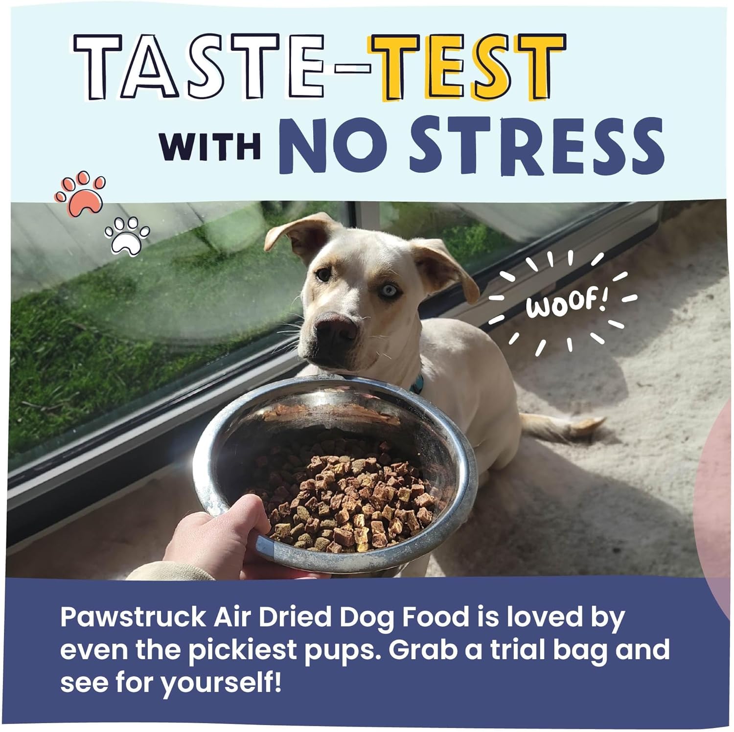 Pawstruck Alimento natural secado al aire para perros con carne de res real, sin granos, fabricado en Estados Unidos, sin OMG y recomendado por