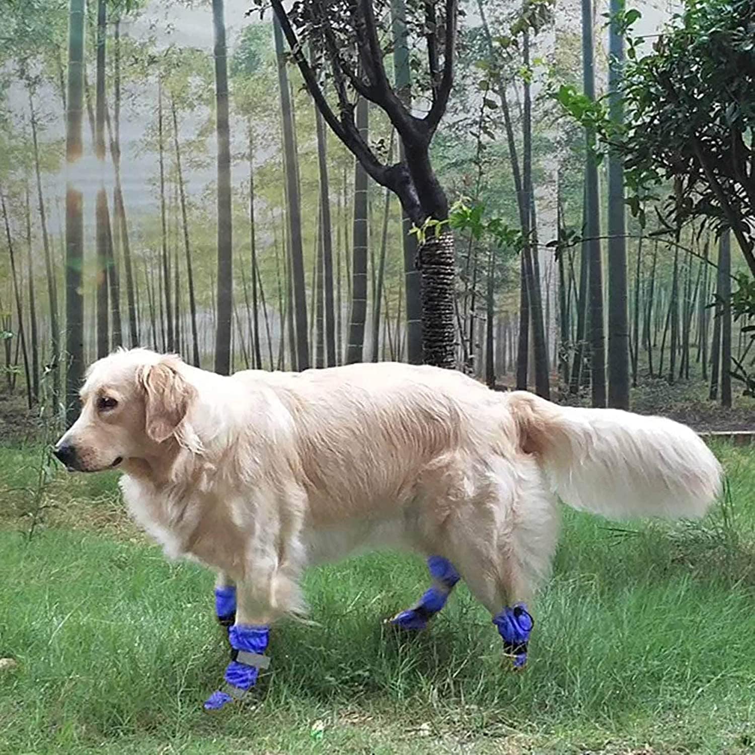 Botas de exterior para perros, zapatos de invierno para perros antideslizantes para la nieve y la lluvia