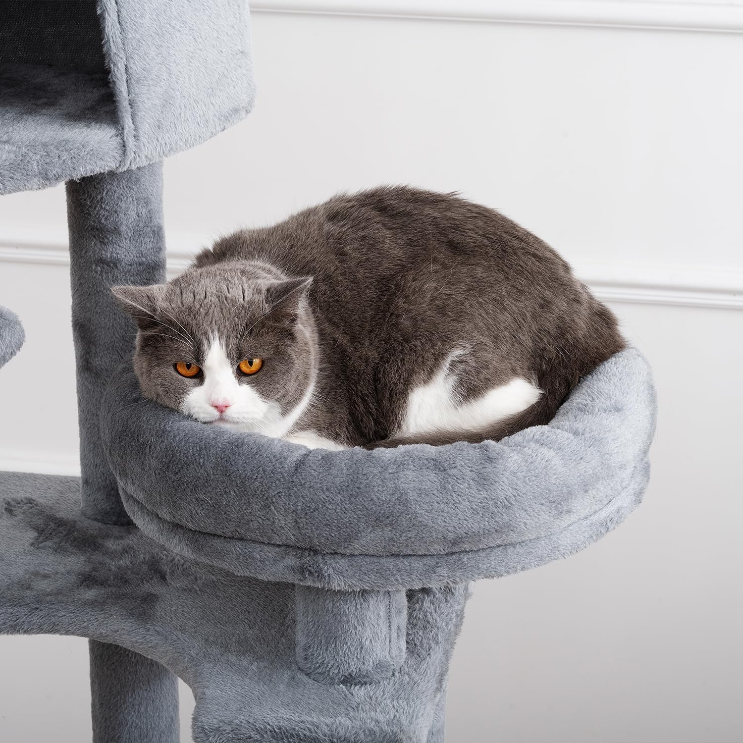 mydearpet Árbol para gatos, torre para gatos de 104 pulgadas para gatitos de interior, gatos y mascotas, condominio para gatos de varios niveles con