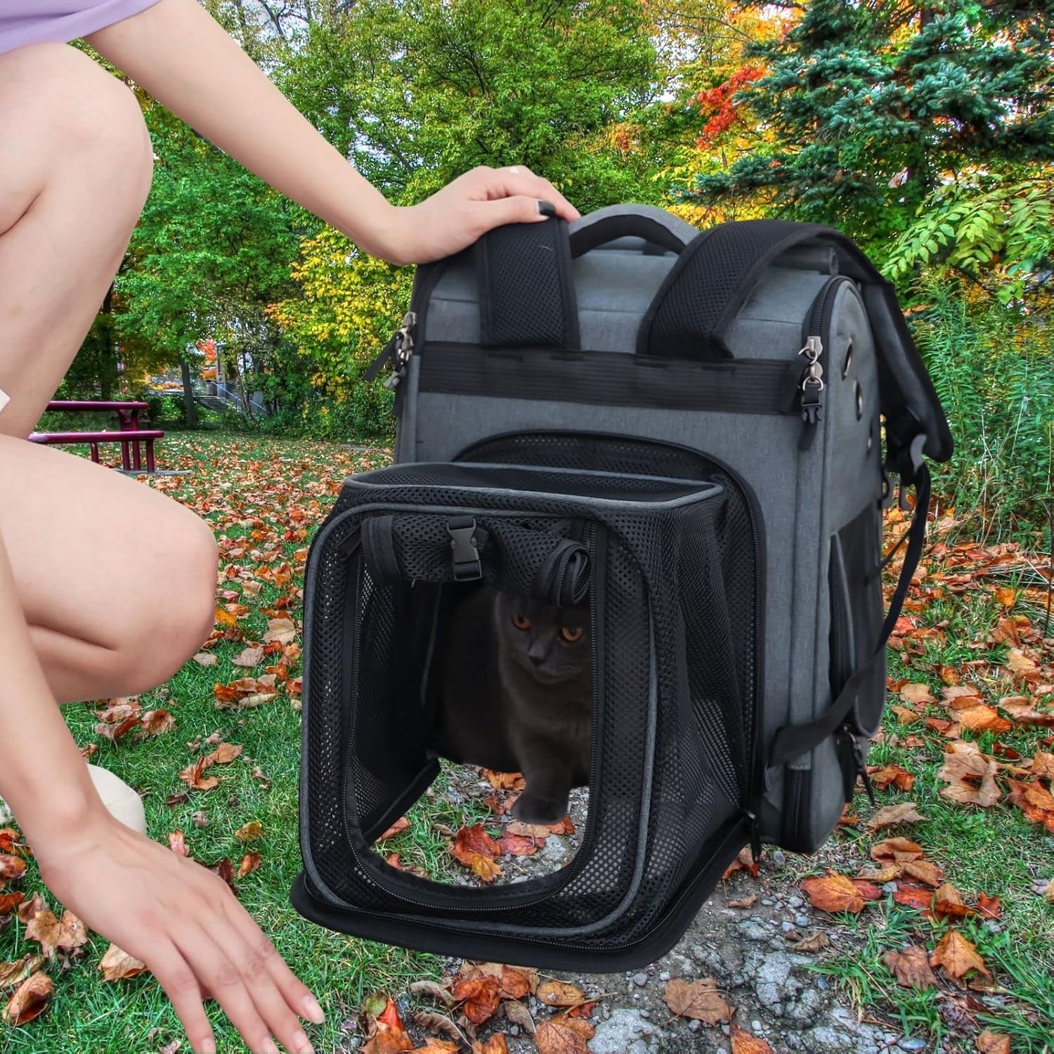 Mochila para gatos, bolsa de viaje grande para senderismo, bolsa de viaje para perros, funda de transporte expandible para gatos, plegable, aprobada