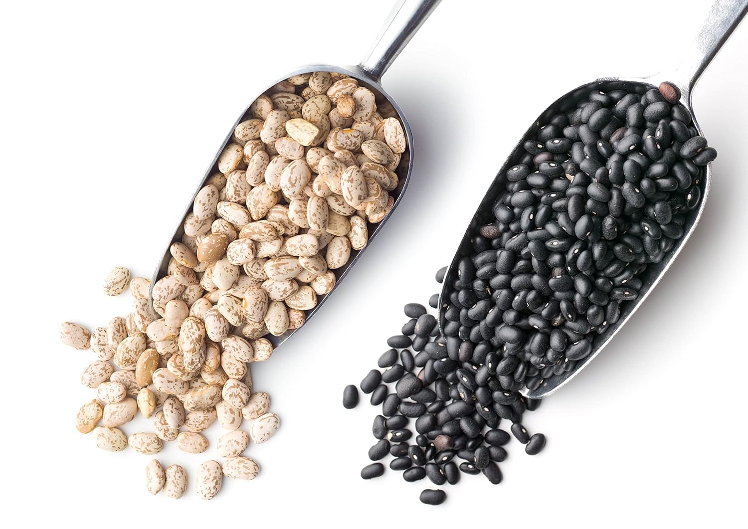 Food to Live Paquete de 2 frijoles secos de alta calidad, frijoles negros (5 libras), frijoles pintos (5 libras), sin OMG, crudos, germinables, a