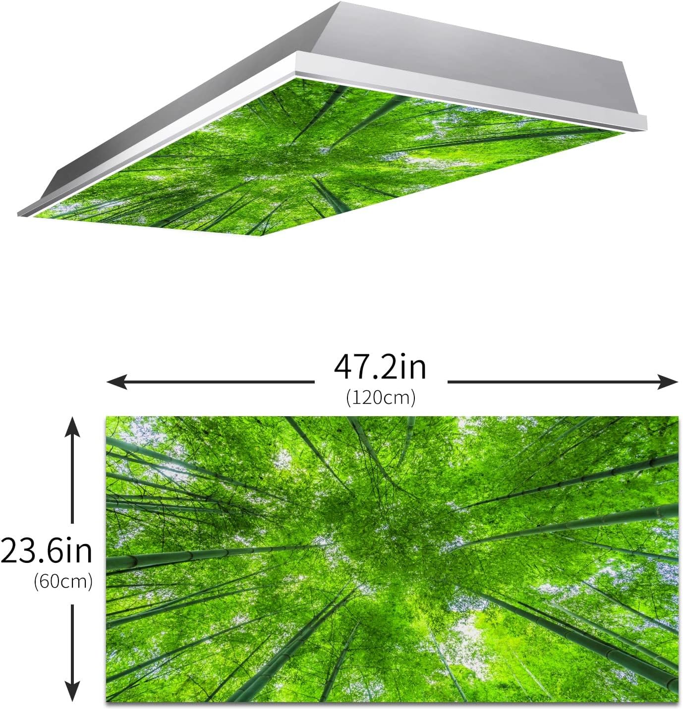 Cubiertas de luz fluorescente, filtros de luz de bosque de bambú verde para aulas y oficina, eliminan el deslumbramiento severo que causa fatiga