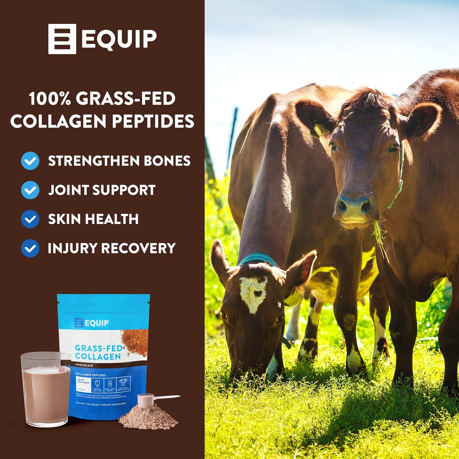 Equip Foods Polvo de colágeno alimentado con pasto  Péptidos de colágeno bovino 100% hidrolizados con aminoácidos  Colágeno de carne de res para