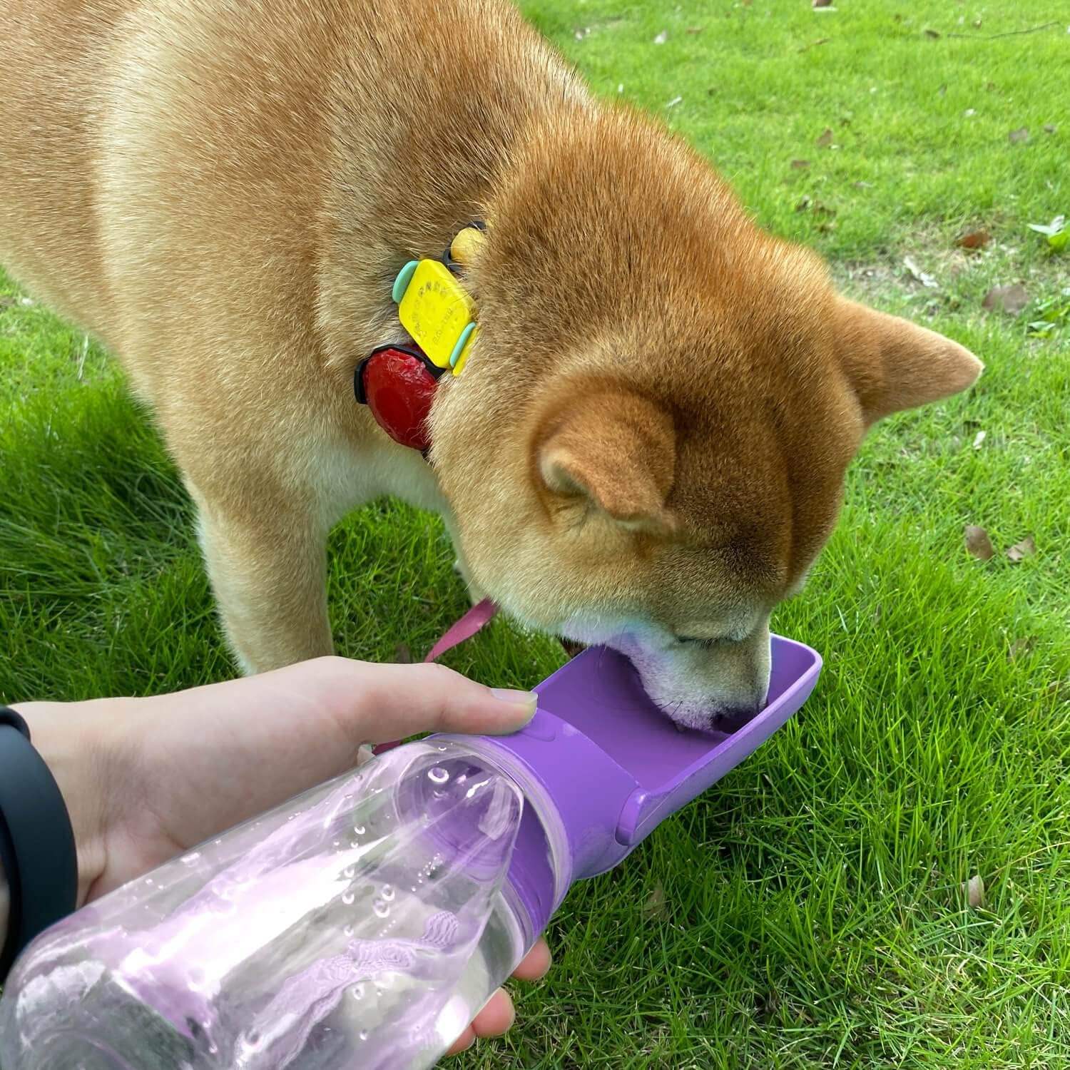 WePet Botella de agua plegable portátil para perros, dispensador de agua para cachorros con alimentador para beber, 12 onzas, resistente a altas