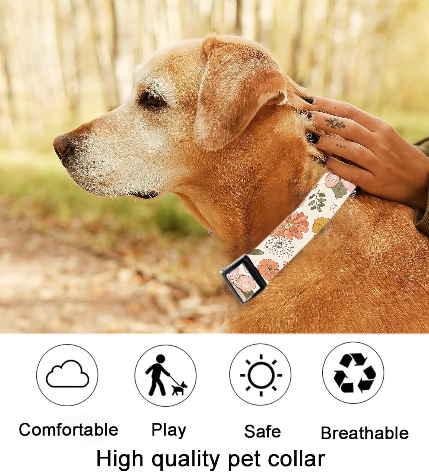 SXboxing Collar de perro, lindo collar de perro para perros pequeños, medianos y grandes, collares suaves personalizados ajustables para mascotas