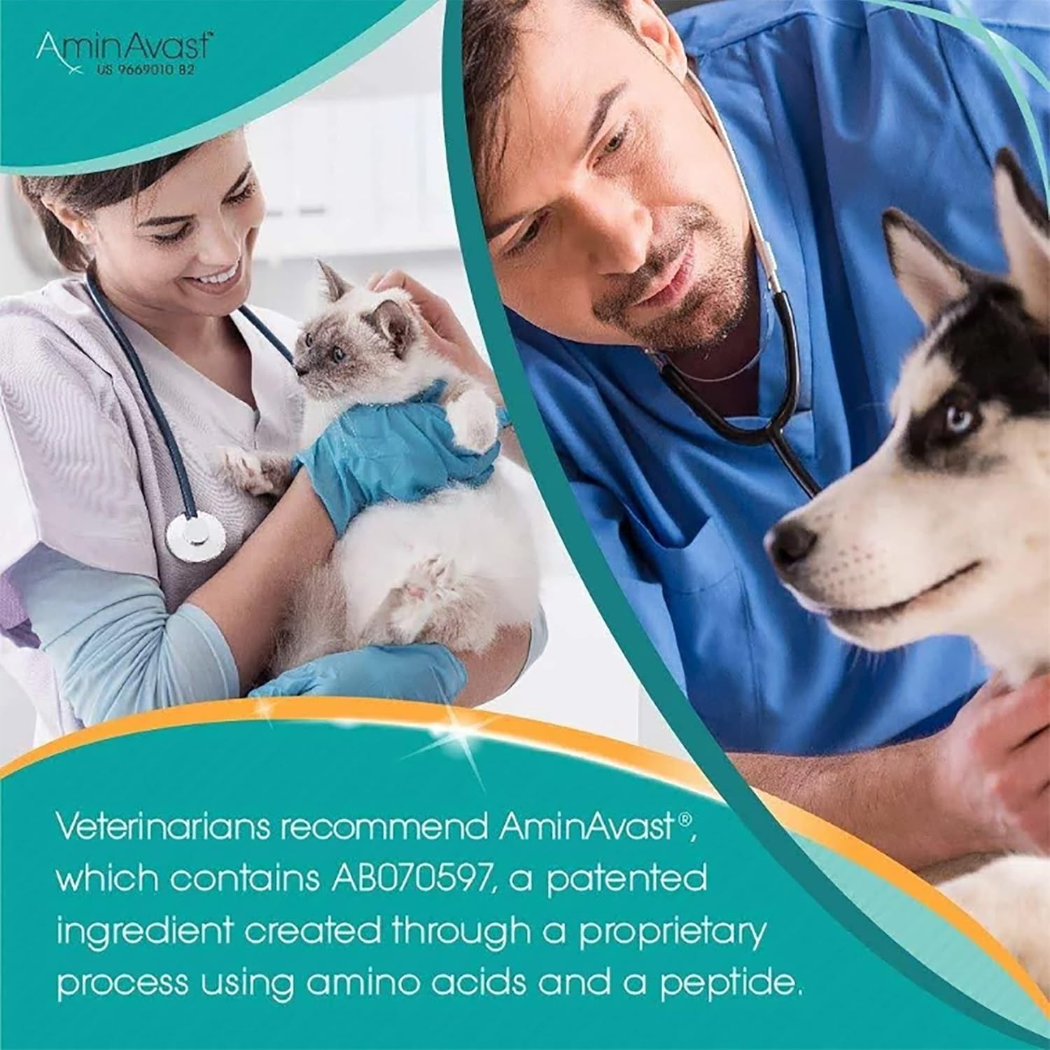 AminAvast Suplemento de riñón para perros – Apoya la función renal natural – Promueve la salud y la vitalidad del envejecimiento de los riñones –