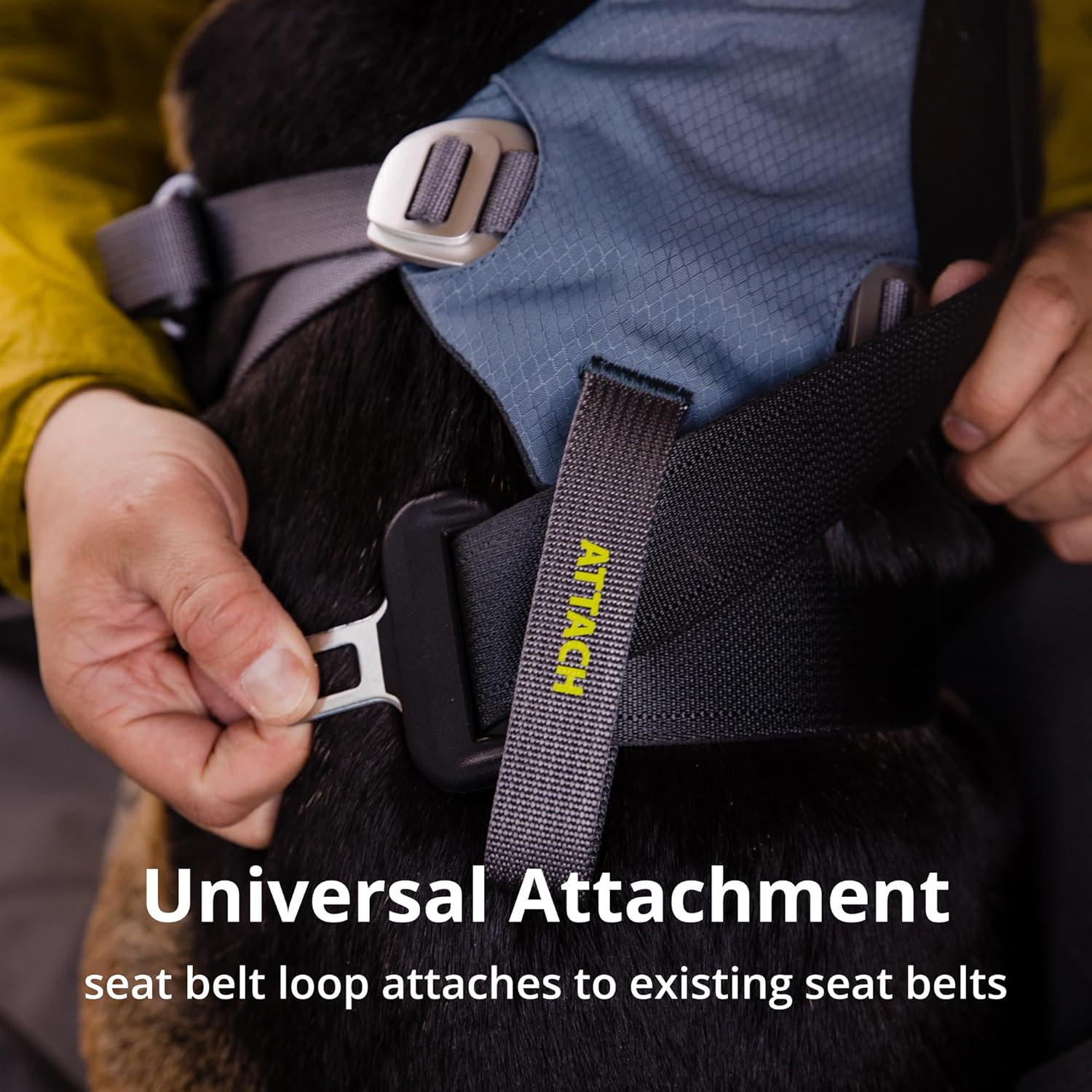 Ruffwear, Load Up – Arnés para perro, arnés de seguridad para automóvil con clasificación de resistencia con accesorio universal para cinturón de