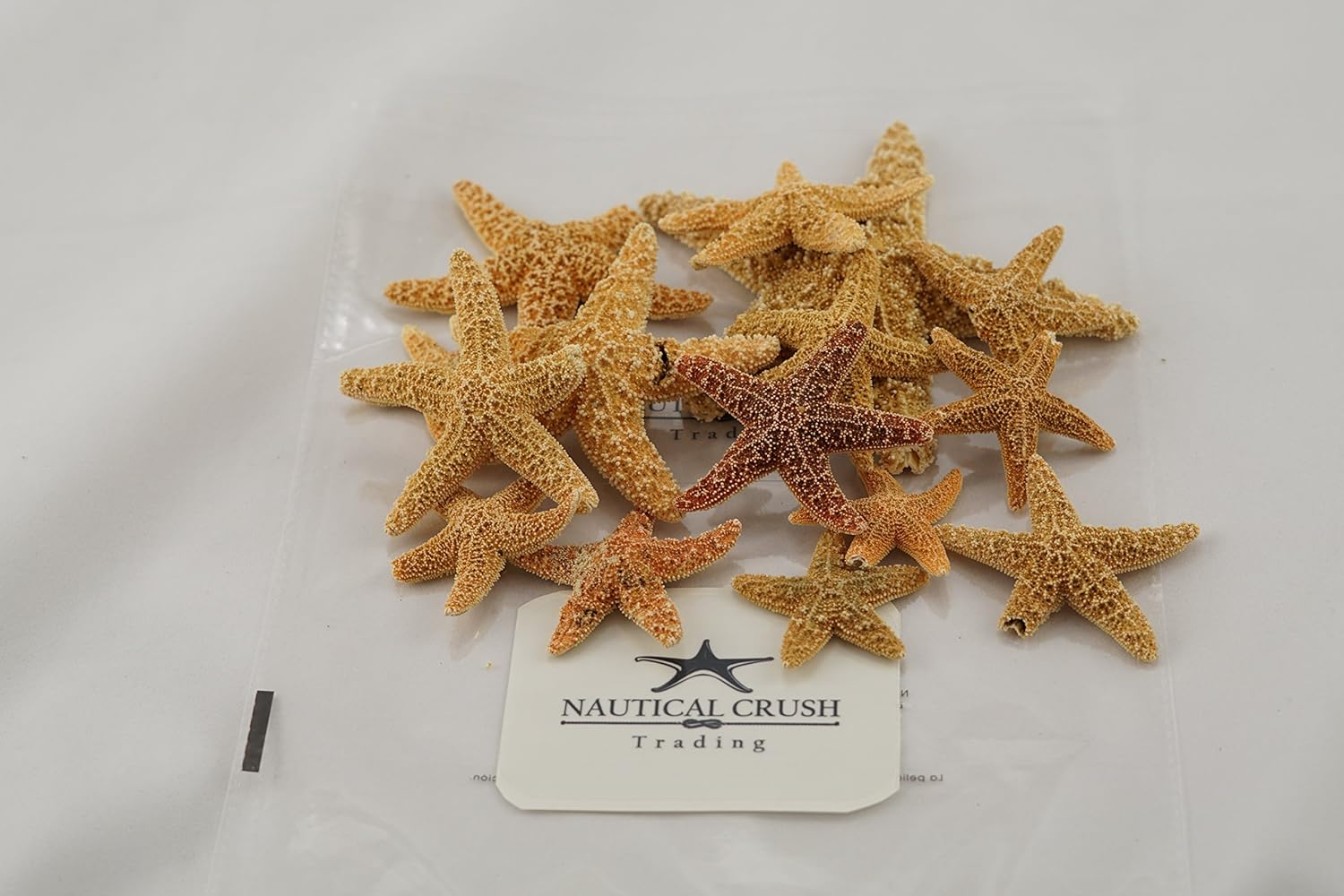 Decoración de estrellas de mar  15 estrellas de mar de azúcar de formas únicas de 2 a 5 pulgadas  Estrellas de mar imperfectas para manualidades y