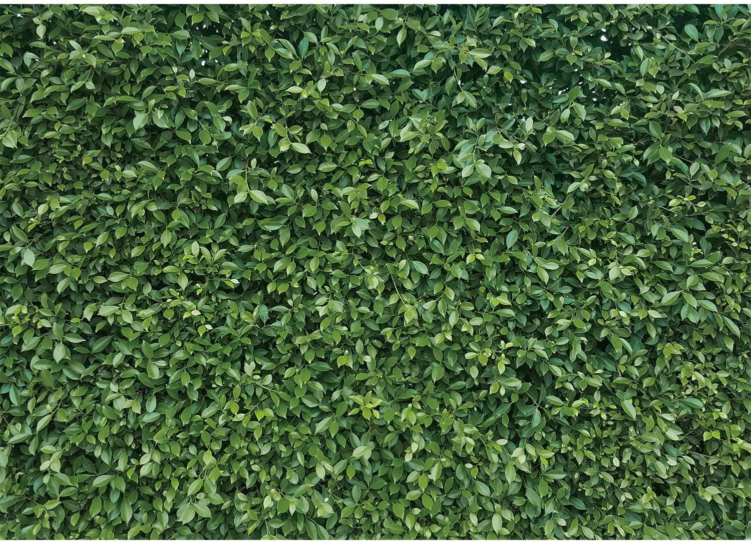 SeekPro Telones de fondo de hojas verdes de primavera de 7 x 5 pies, telón de fondo de hojas de naturaleza, fondo de cumpleaños para fiesta de