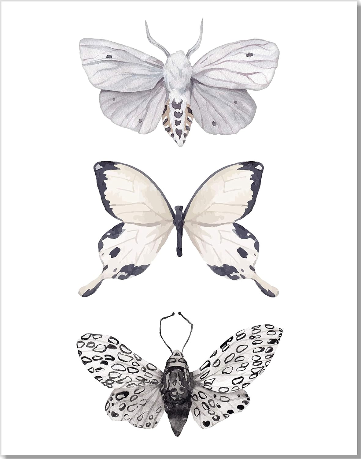 Butterfly Wall Art – Black & White Butterflies Decor – Watercolor Art Print – 11×14  Unframed Poster