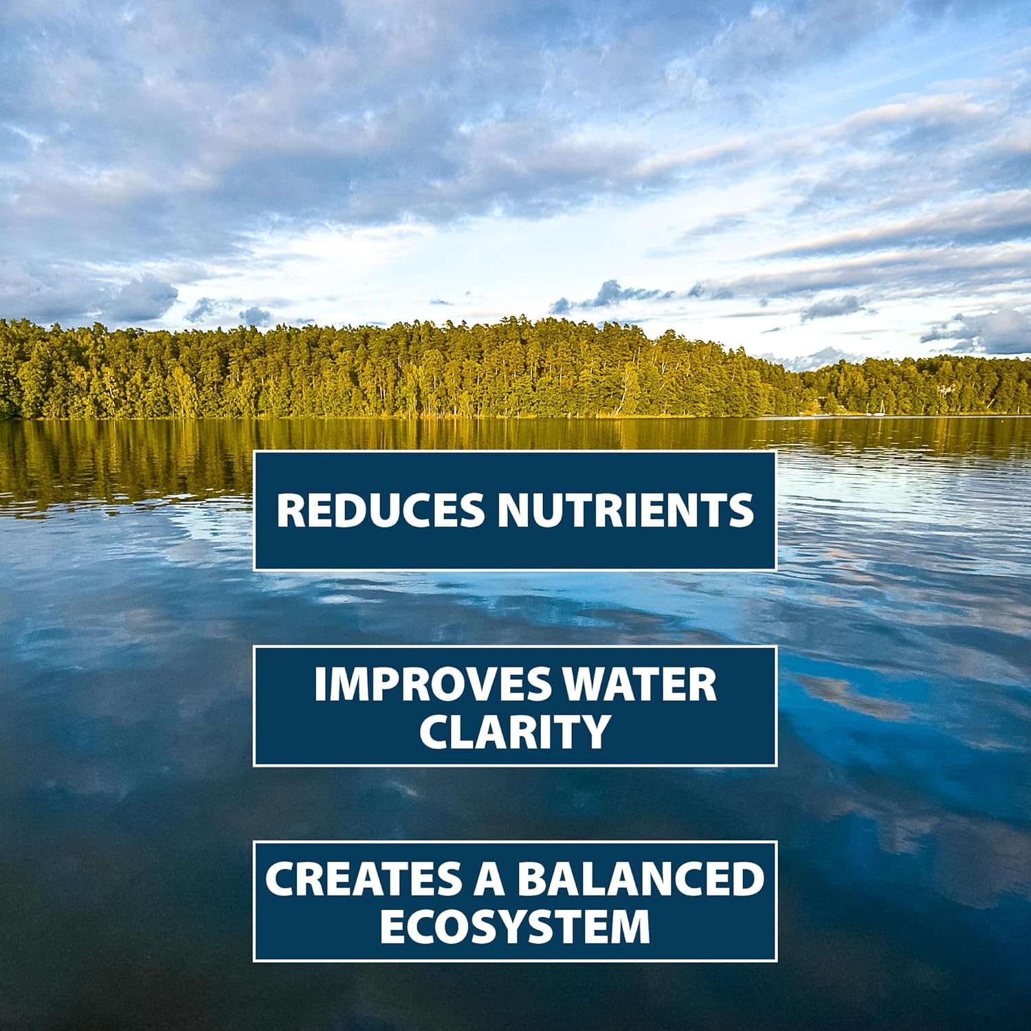 Airmax PondClear Packets, tratamiento clarificador de bacterias beneficiosas y enzimas con Ecoboost PRx, Clear & Clean Pond & Lake Water, seguro