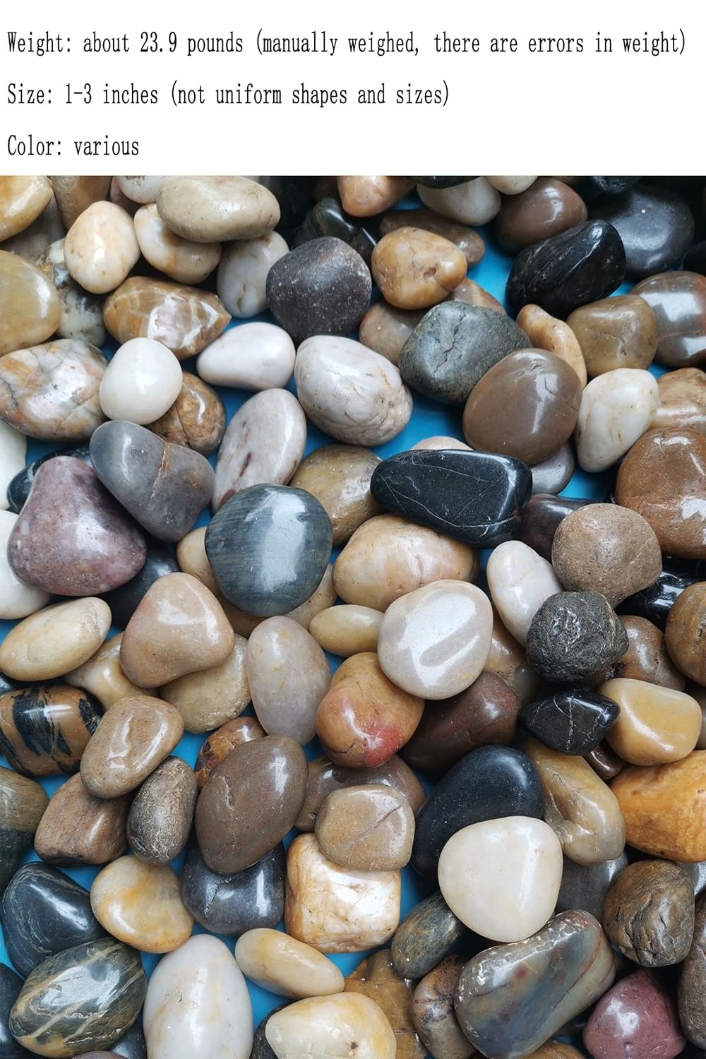 Piedras de río, plantas, jardines, paisajes, suculentas, guijarros decorativos altamente pulidos en formas y tamaños de 1 a 3 pulgadas. (23.9