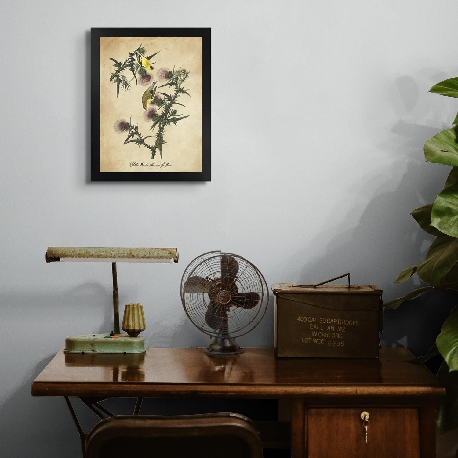 Jilguero americano de James Audubon 12 x 16 con marco biselado negro  Decoración artística enmarcada para pared  Reproducción de pintura fina