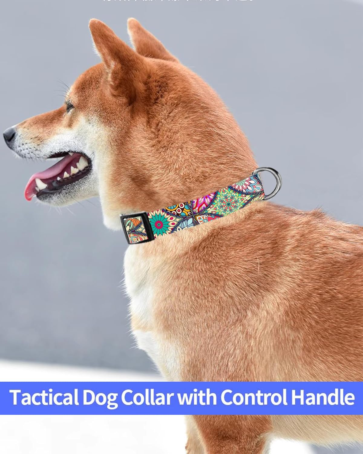 Collar de perro, lindo collar de perro para perros pequeños, medianos y grandes, collares suaves personalizados ajustables para mascotas con hebilla